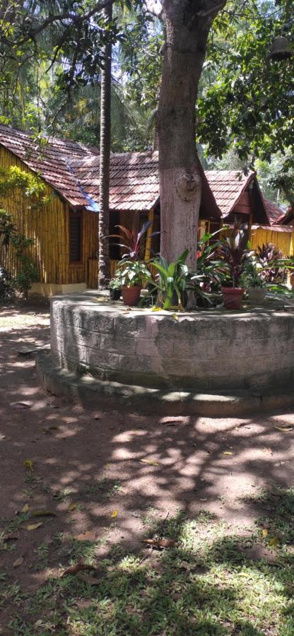 Savithri Inn Cottage Варкала Экстерьер фото